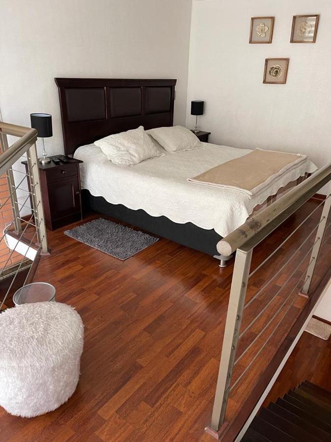 Loft Bellas Artes Lastarria * Santiago