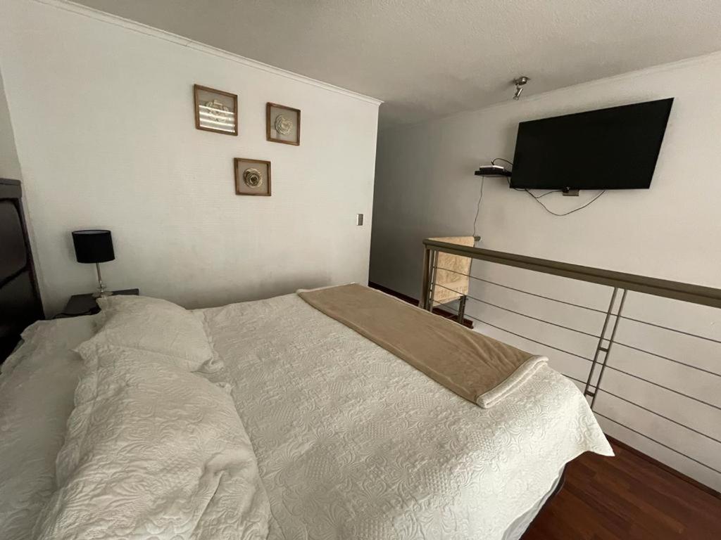Loft Bellas Artes Lastarria Apartment Santiago