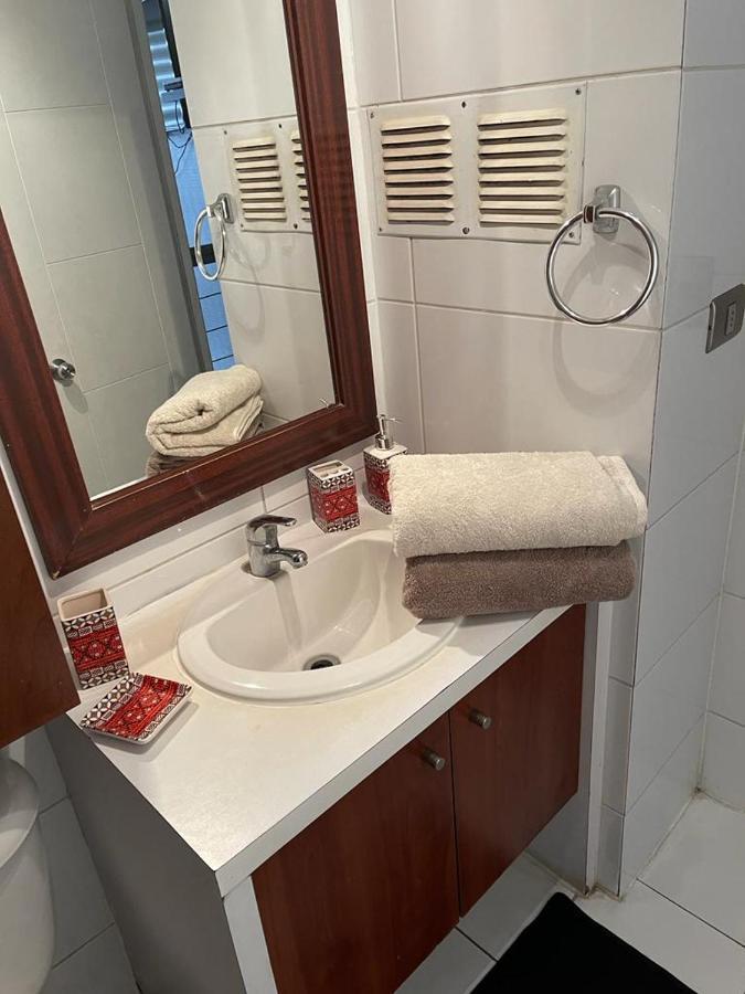 Loft Bellas Artes Lastarria *