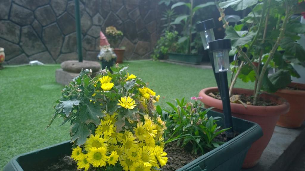 Bed & Breakfast Blumen Haus Santiago