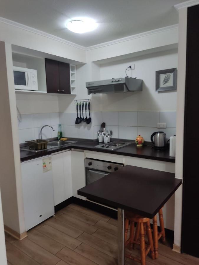 Apartment Departamento Amoblado Santiago