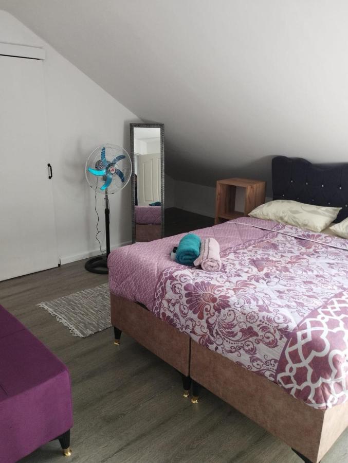 Casa Paraiso Guest house