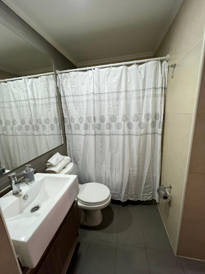 Comodo Y Centrico Departamento Apartment Santiago
