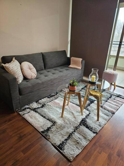 Dpto Costanera Center, Metro Leones 1 Dorm Apartment