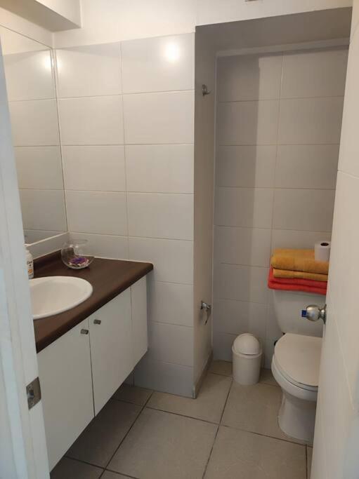 Apartamento Pequeno En Centro Santiago