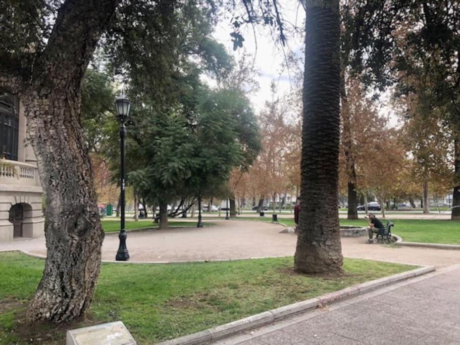 Căn hộ Lindo Y Acogedor Departamento En Bellavista Santiago