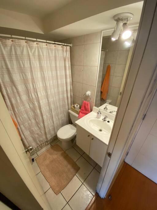 Departamento Bellas Artes * Santiago