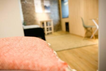 Apartment Hom I Hermoso Departamento En Lastarria 1d1b