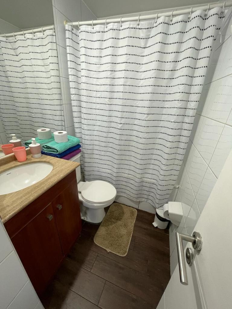 Acogedor Departamento De Tres Dormitorio Căn hộ Santiago