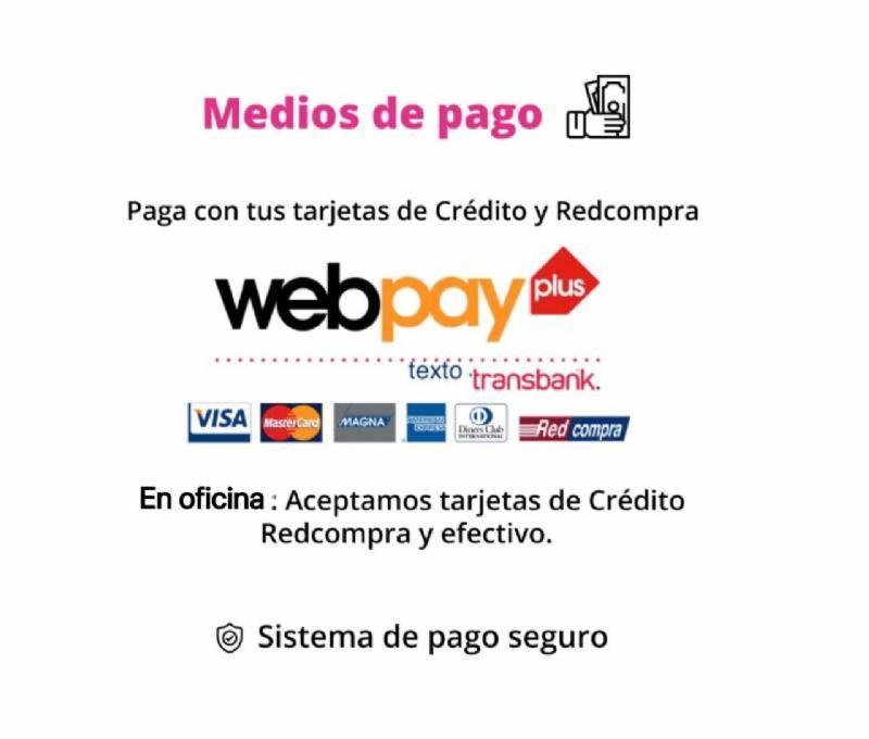 2 Dormitorios Metro La Moneda Căn hộ Santiago