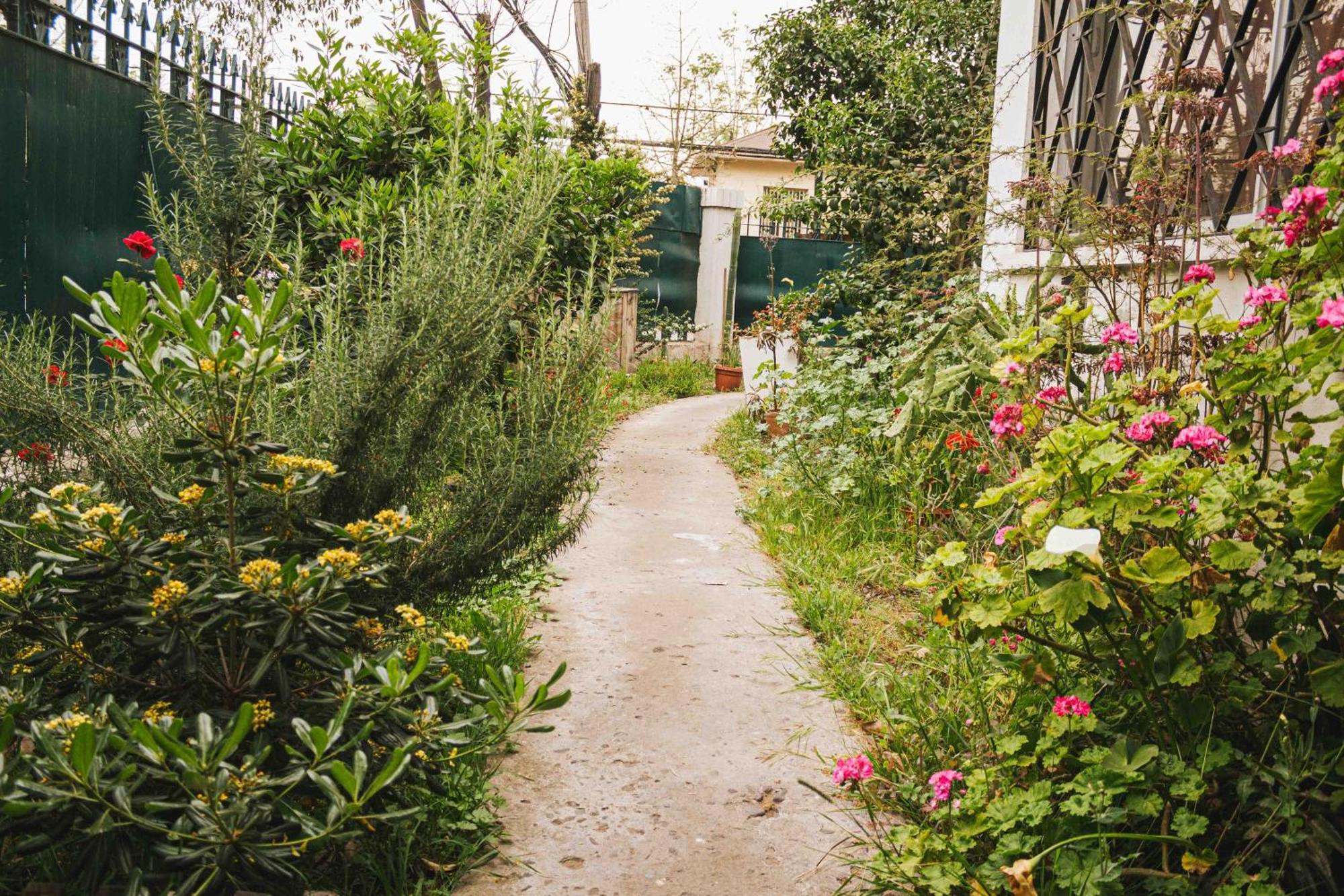 Albergue Salvador
