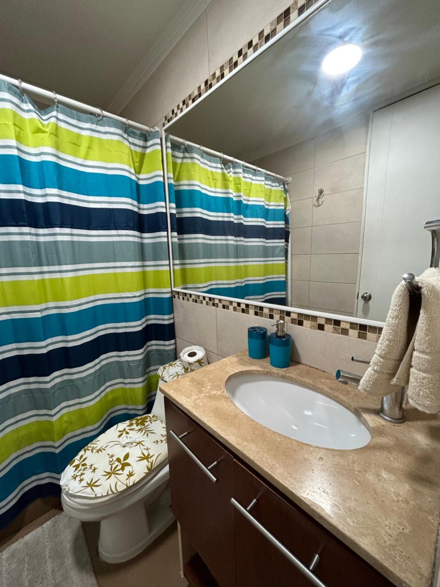 Arriendo Departamento Amoblado Por Dia Centro * Santiago