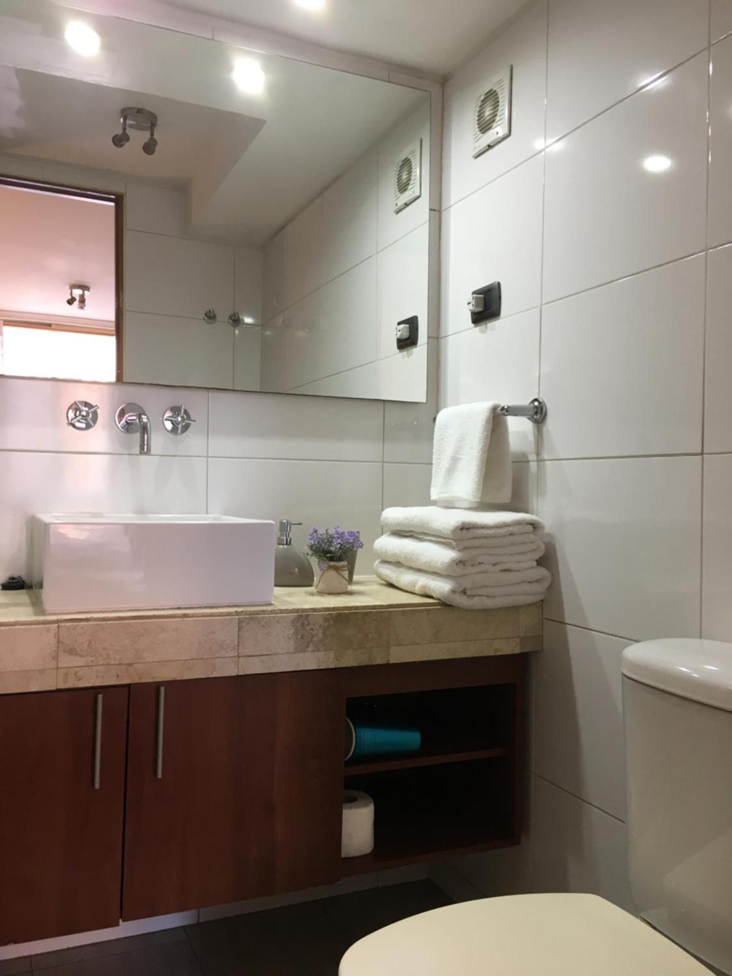 Departamento En El Corazon De Providencia Apartment *