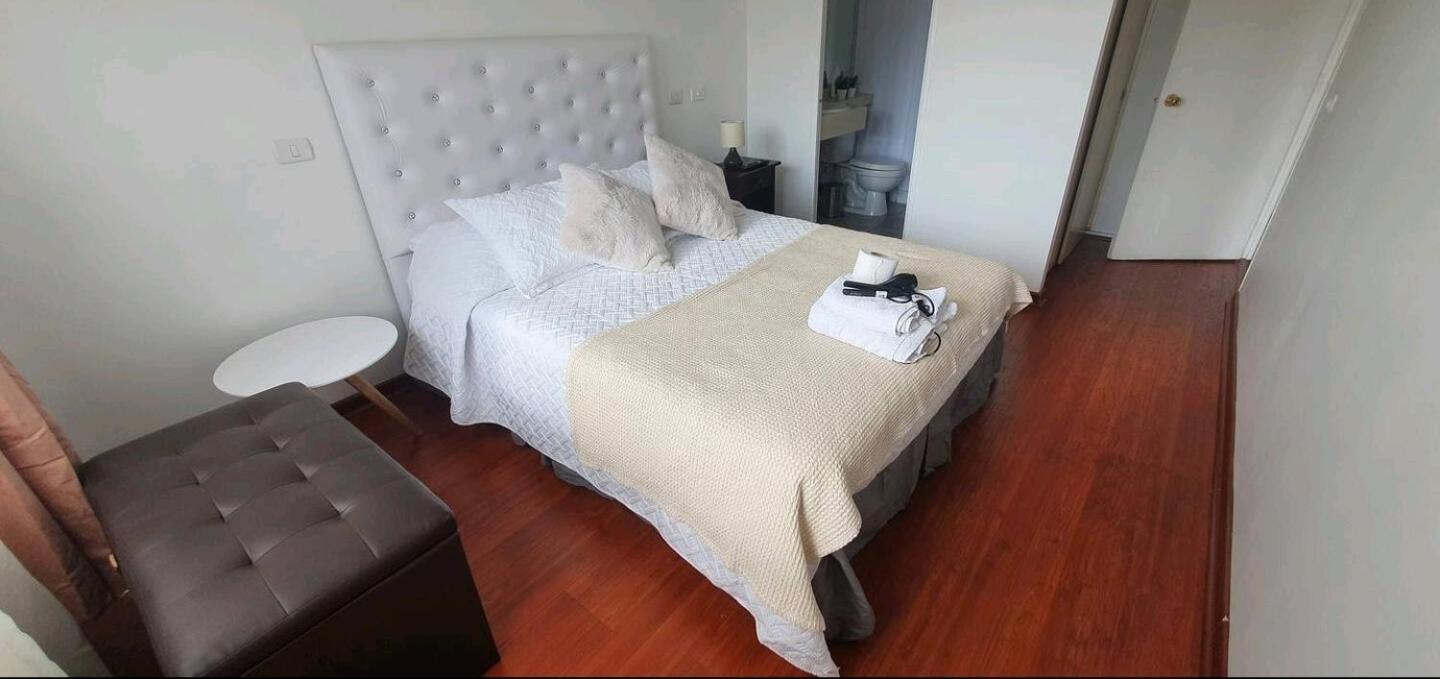Departamento Centro Con Piscina Y Climatizador Santiago
