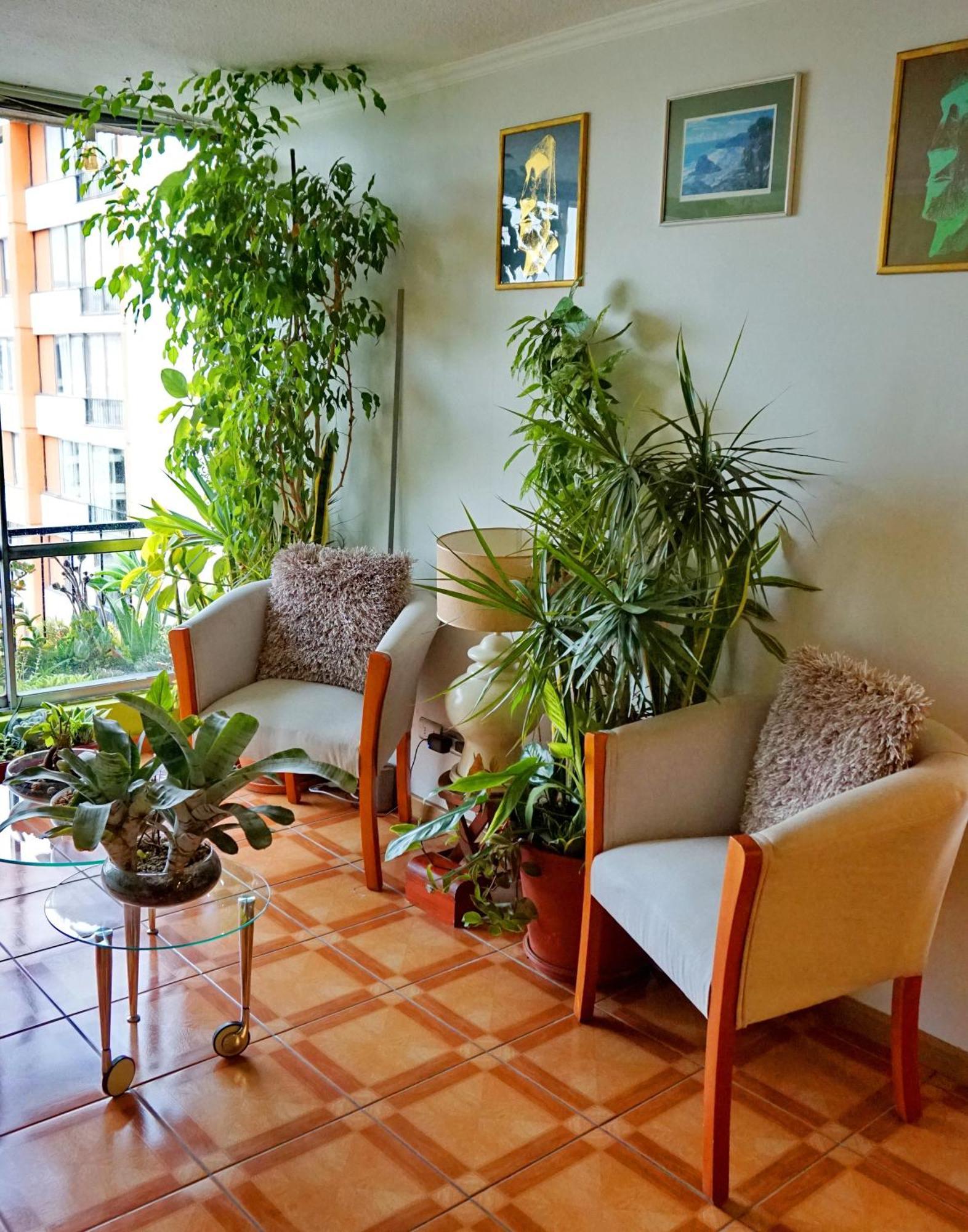 Portugal L Y D Homestay
