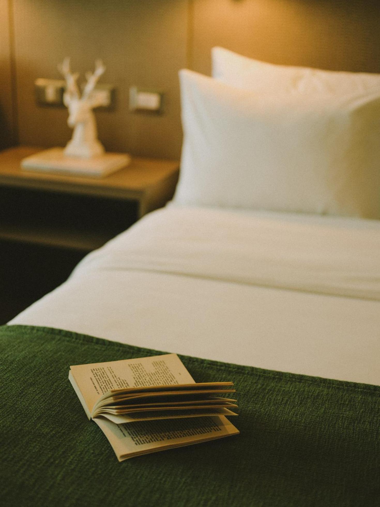 Hotel Eco Boutique Bidasoa Santiago