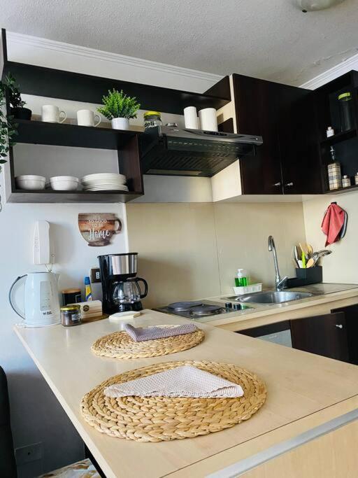 Apartamento En Centro * Santiago