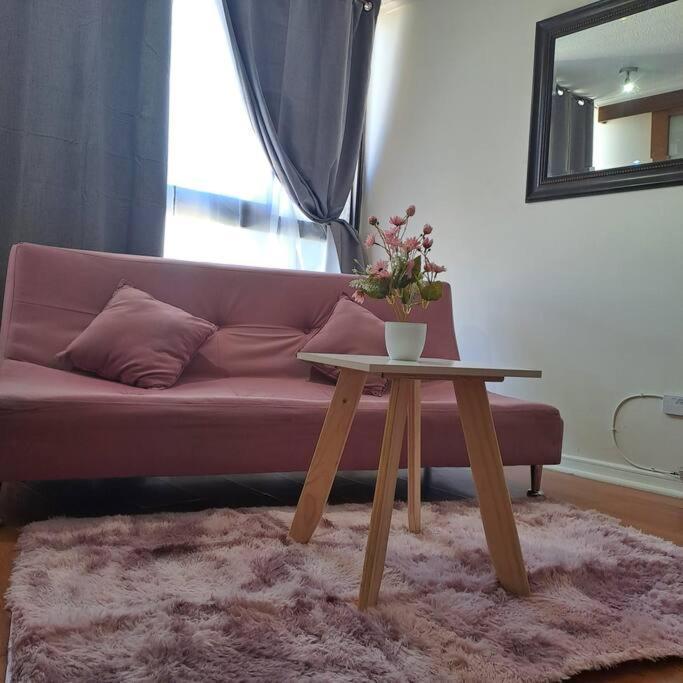 Apartment Hermoso Departamento Santiago