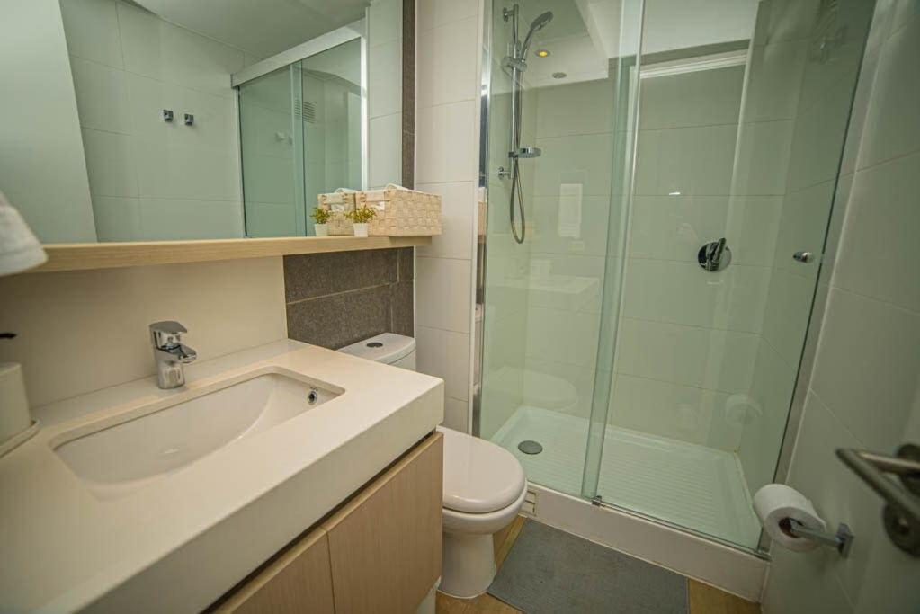 Lindo Departamento Cercano A Todo En Providencia Santiago