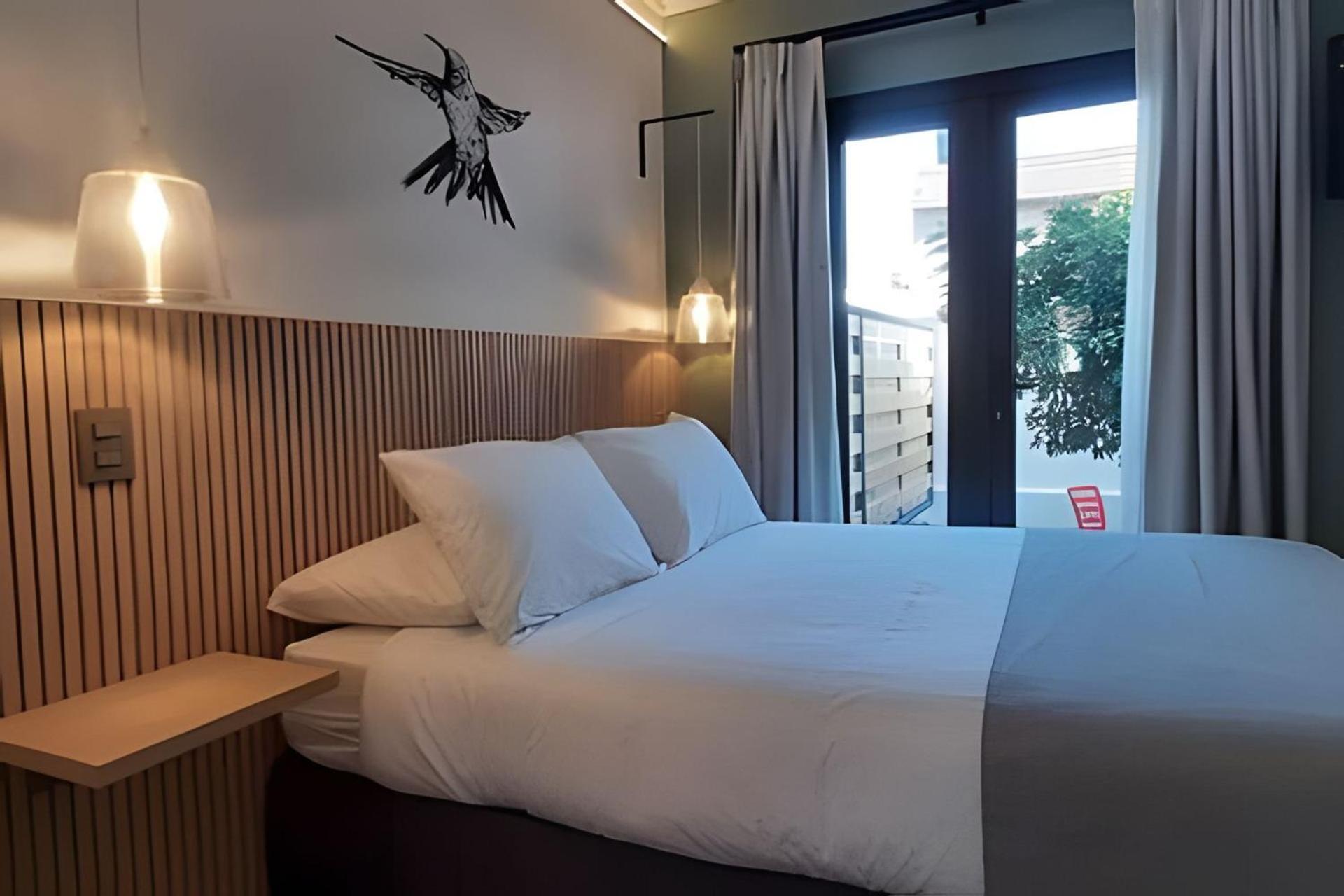 Living Vaisse Apartamento