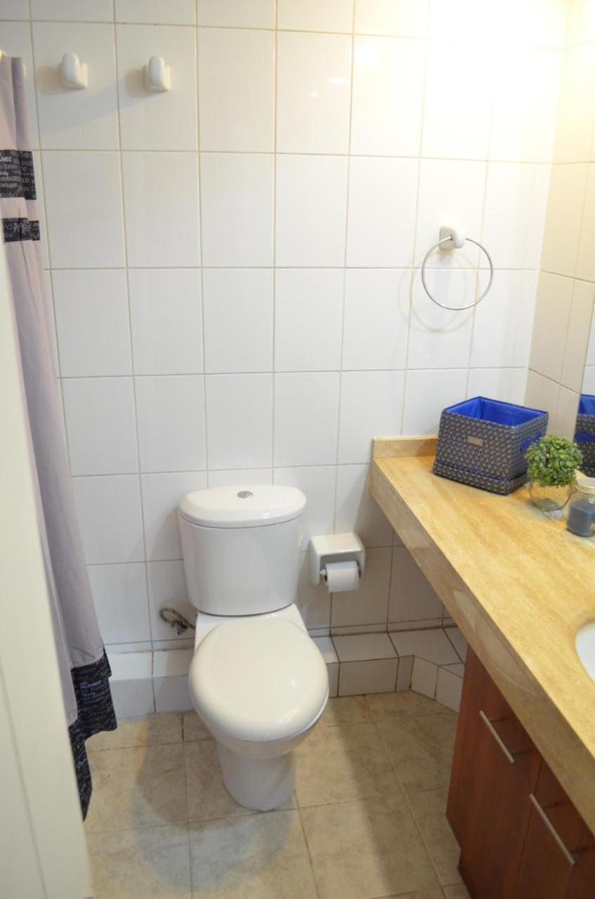 Lastarria Apartment