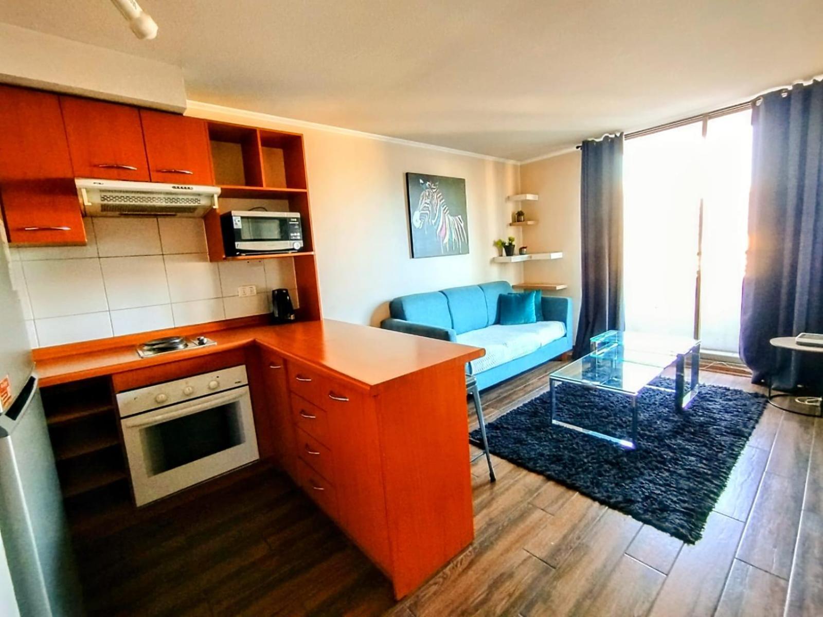 Lastarria Apartment