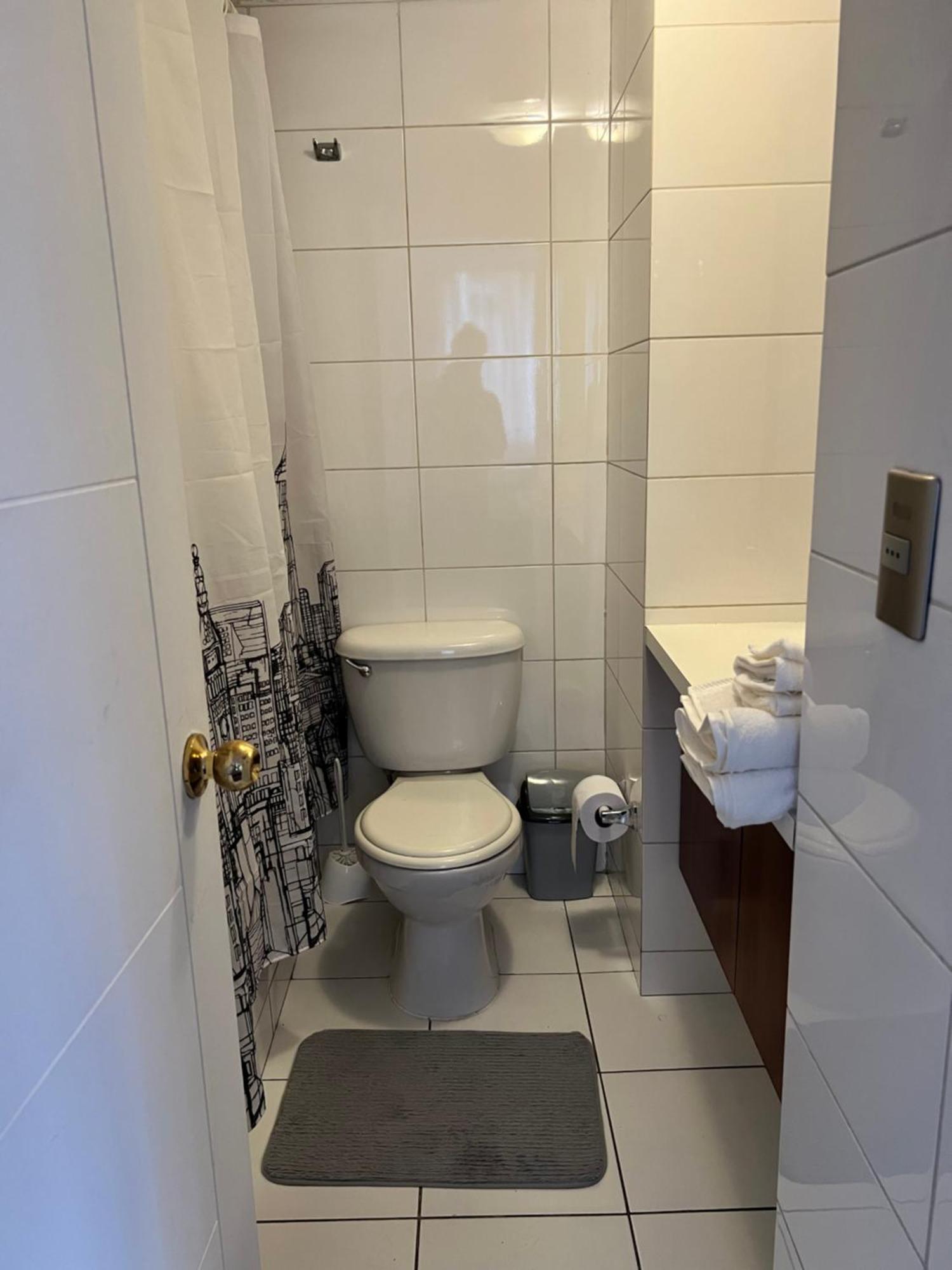 Căn hộ Departamento Centrico 1 Ambiente Santiago