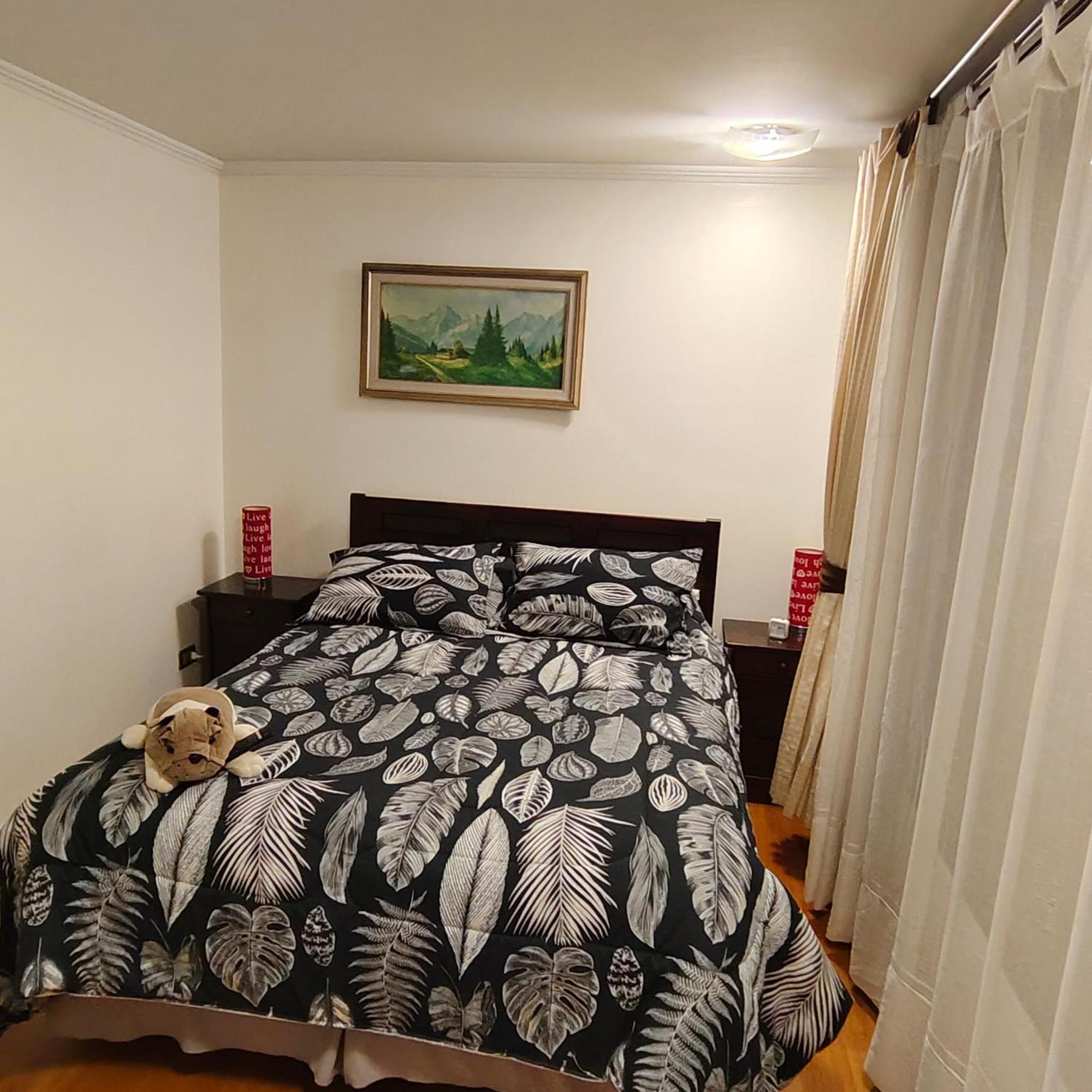Apartamento Metro Manuel Montt *