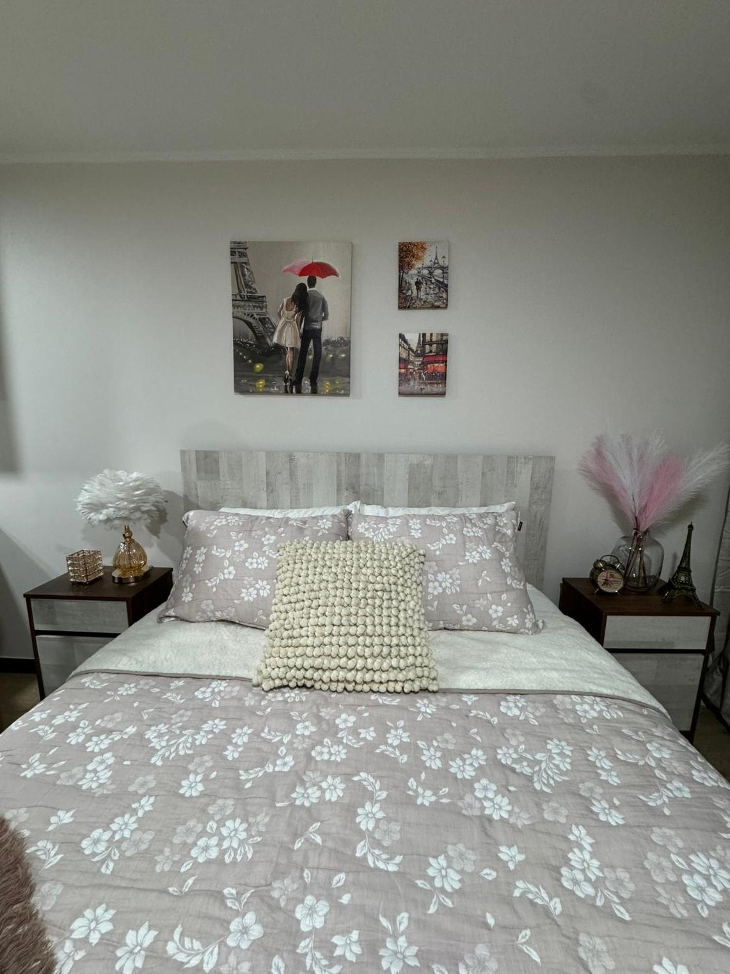 Paris En Santiago, Un Departamento De Lujo Apartment