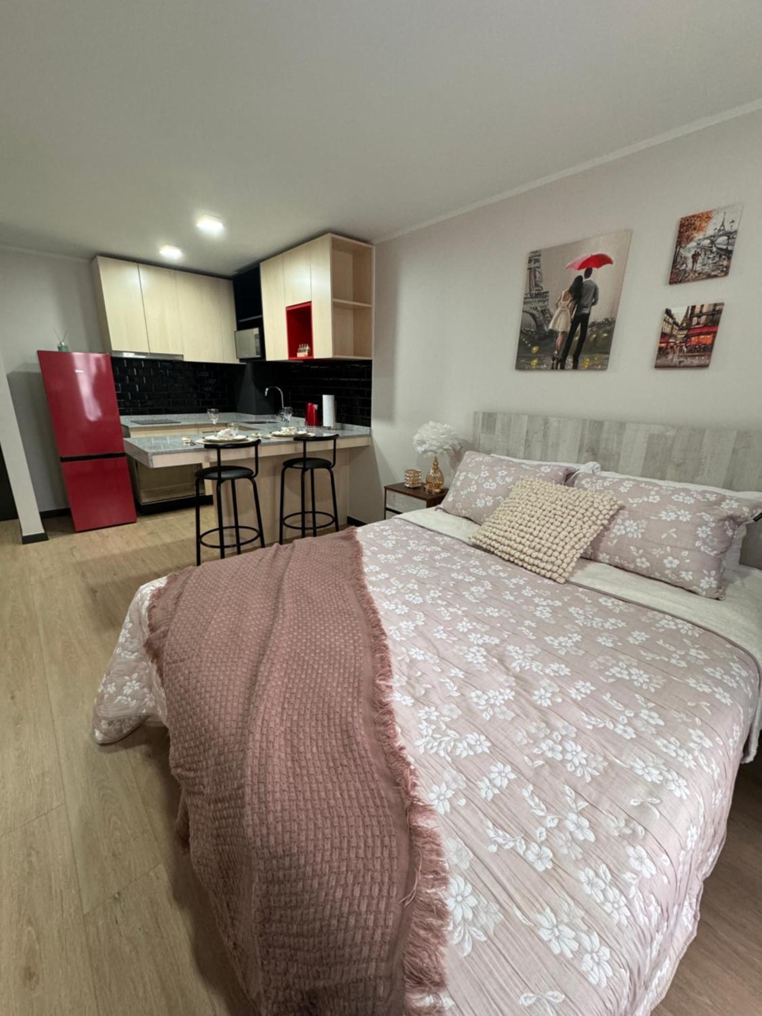 Paris En Santiago, Un Departamento De Lujo Apartment