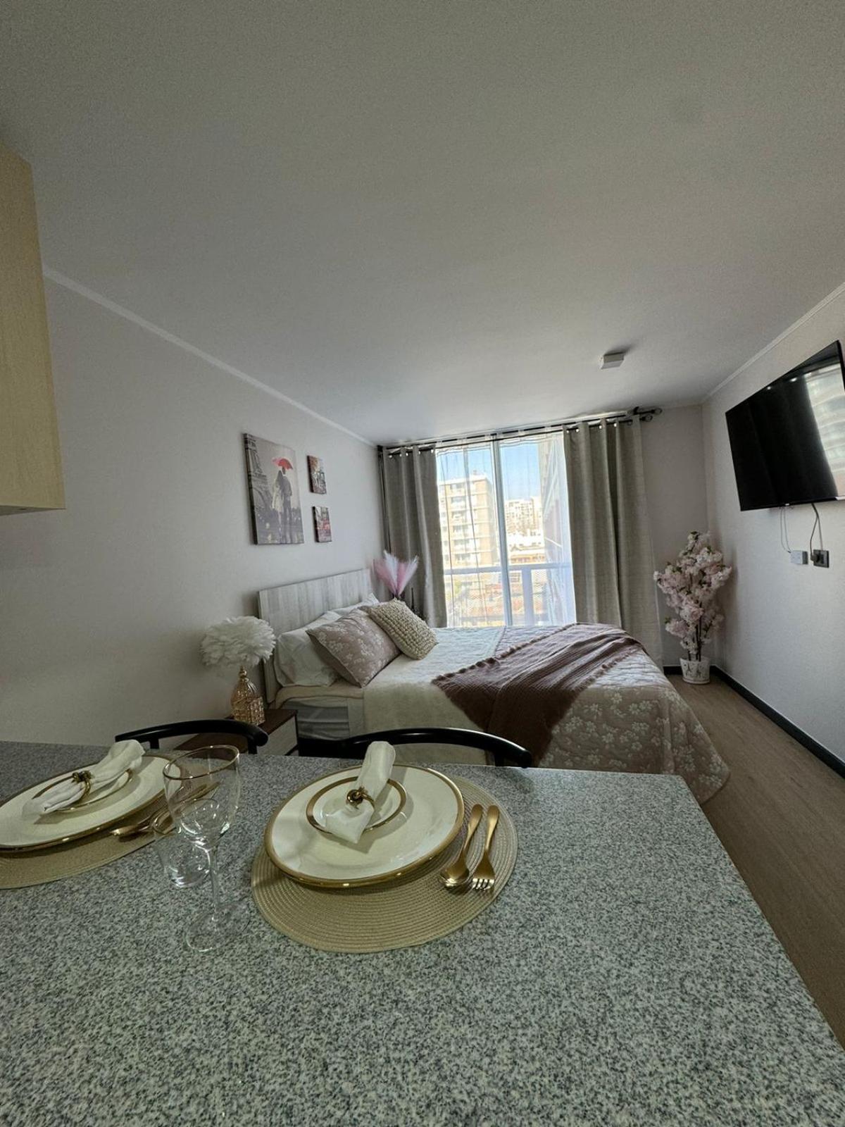 Paris En Santiago, Un Departamento De Lujo Apartment *