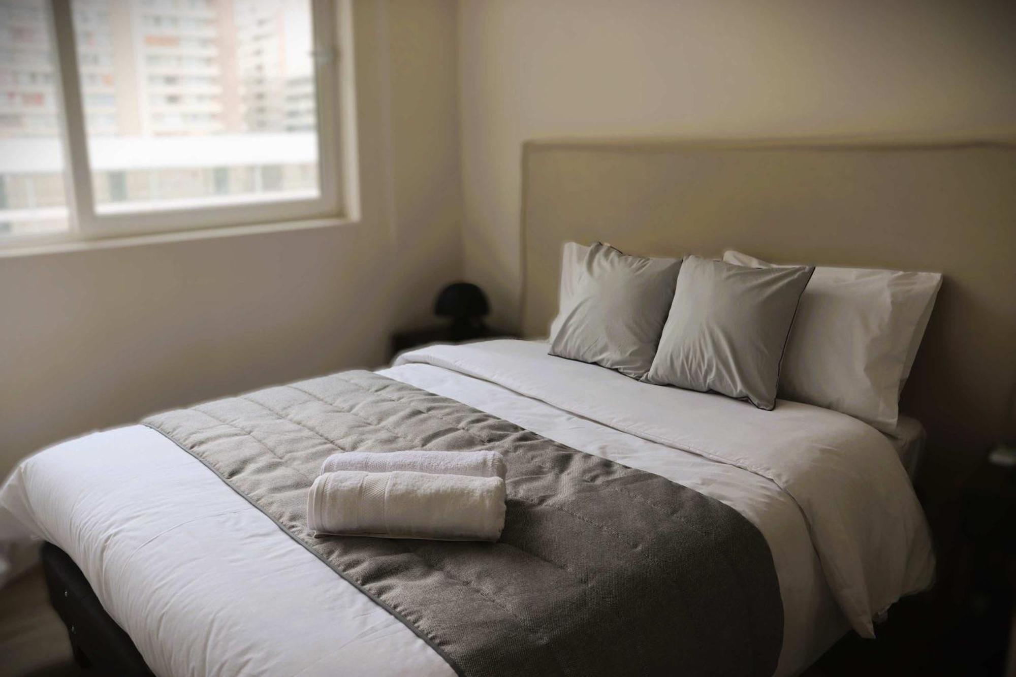 Hom I Comodo Y Acogedor Depto 2d2b 3pax Santiago