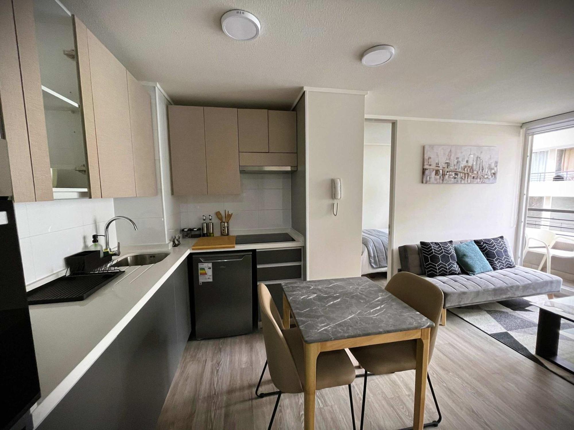 Hom I Comodo Y Acogedor Depto 2d2b 3pax Apartment Santiago