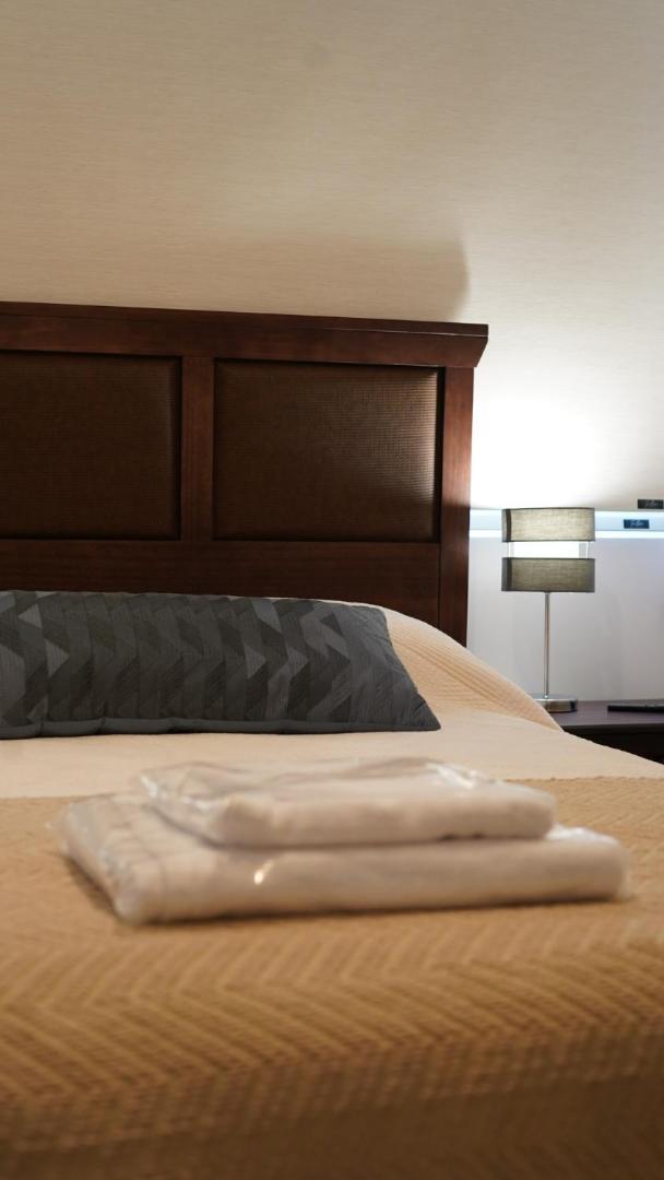 Apartment Depto Amoblado Premium - Escapada Andina Santiago
