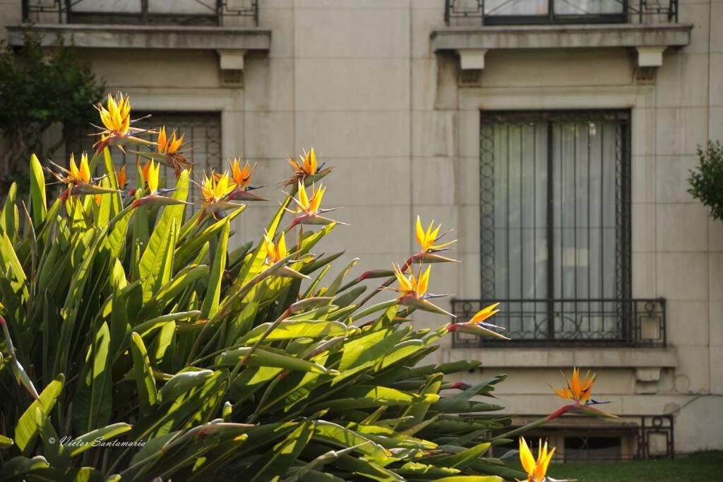 Apartment Jardin Privado Familias Y Trabajo