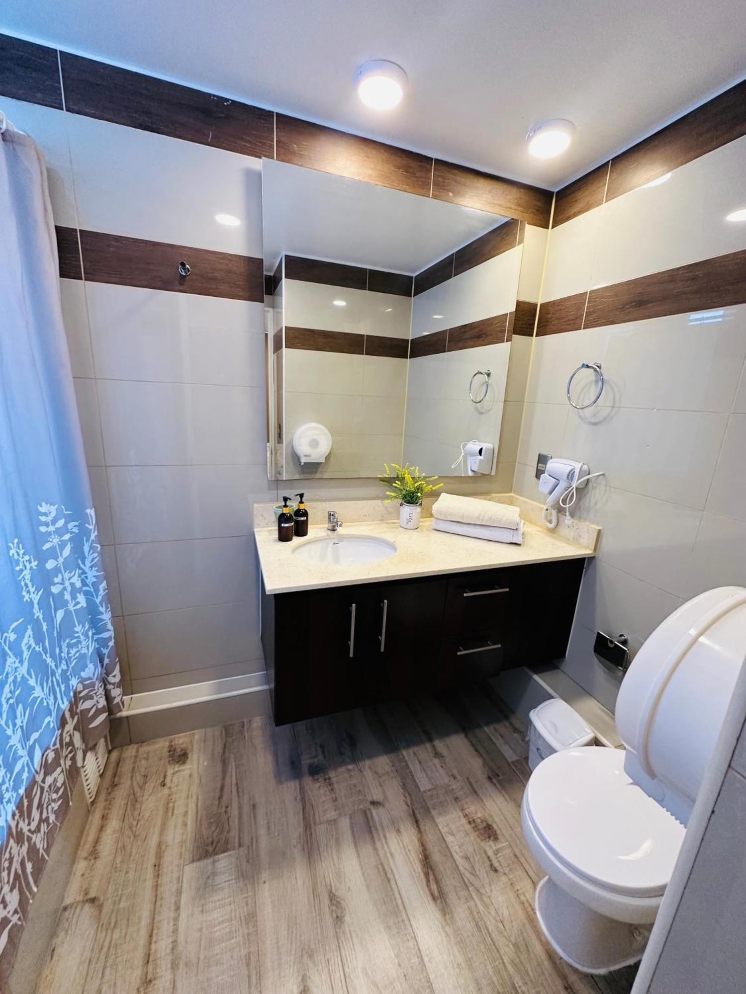 Turistico Y Ejecutivo En Providencia Apartamento