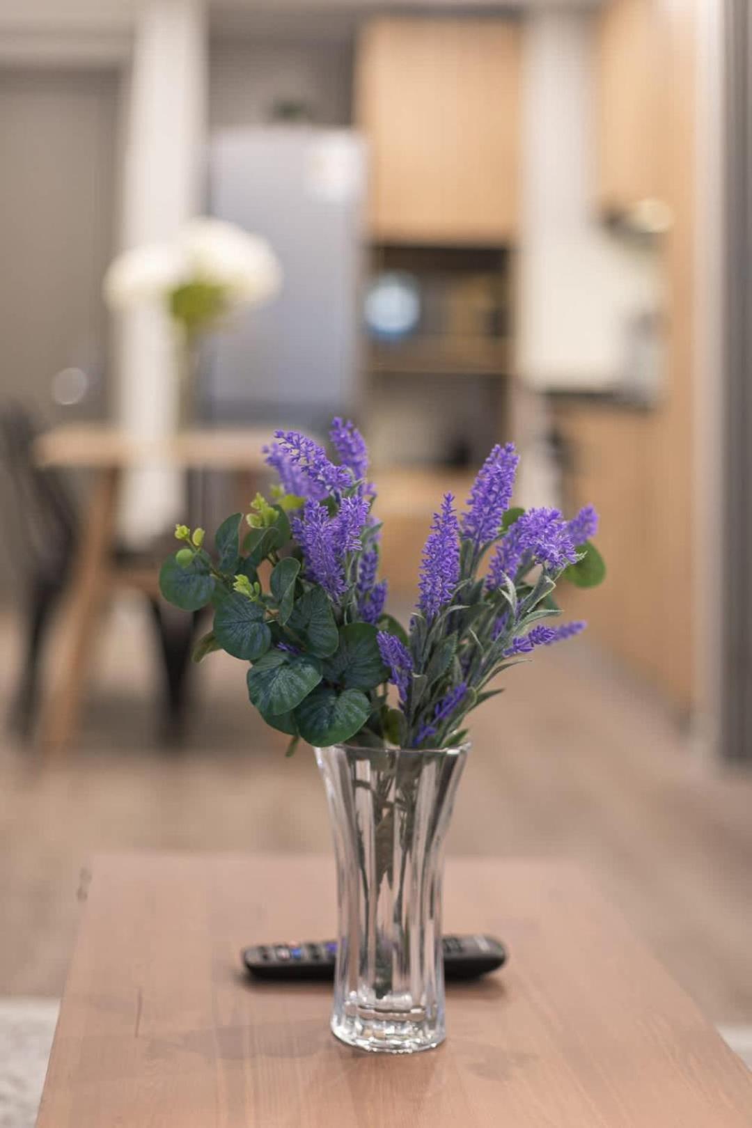 Experimenta Familiar En Providencia Apartment *