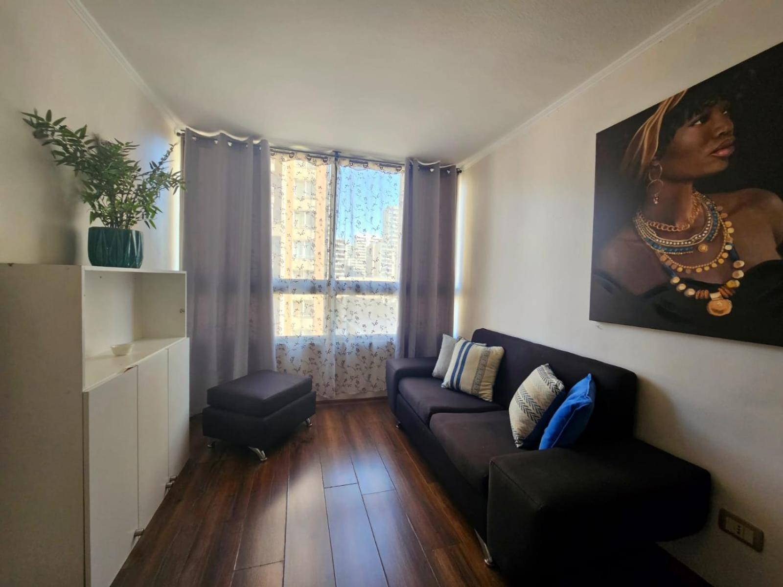 Avila Apart Apartment Santiago