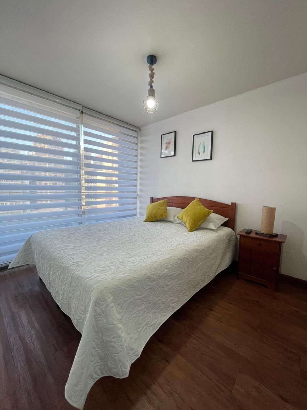 Apartment Muso