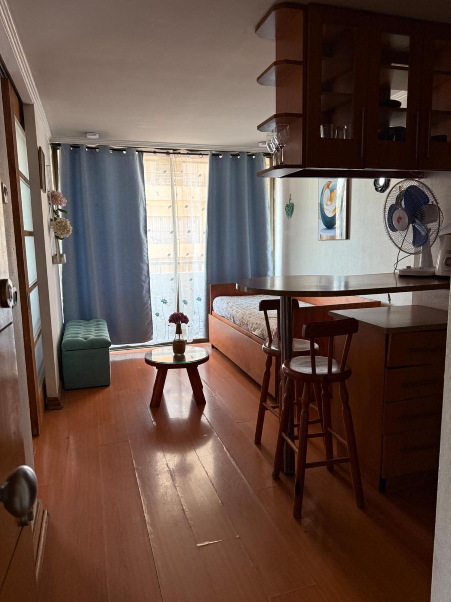 Apartment Providencia Luxury *