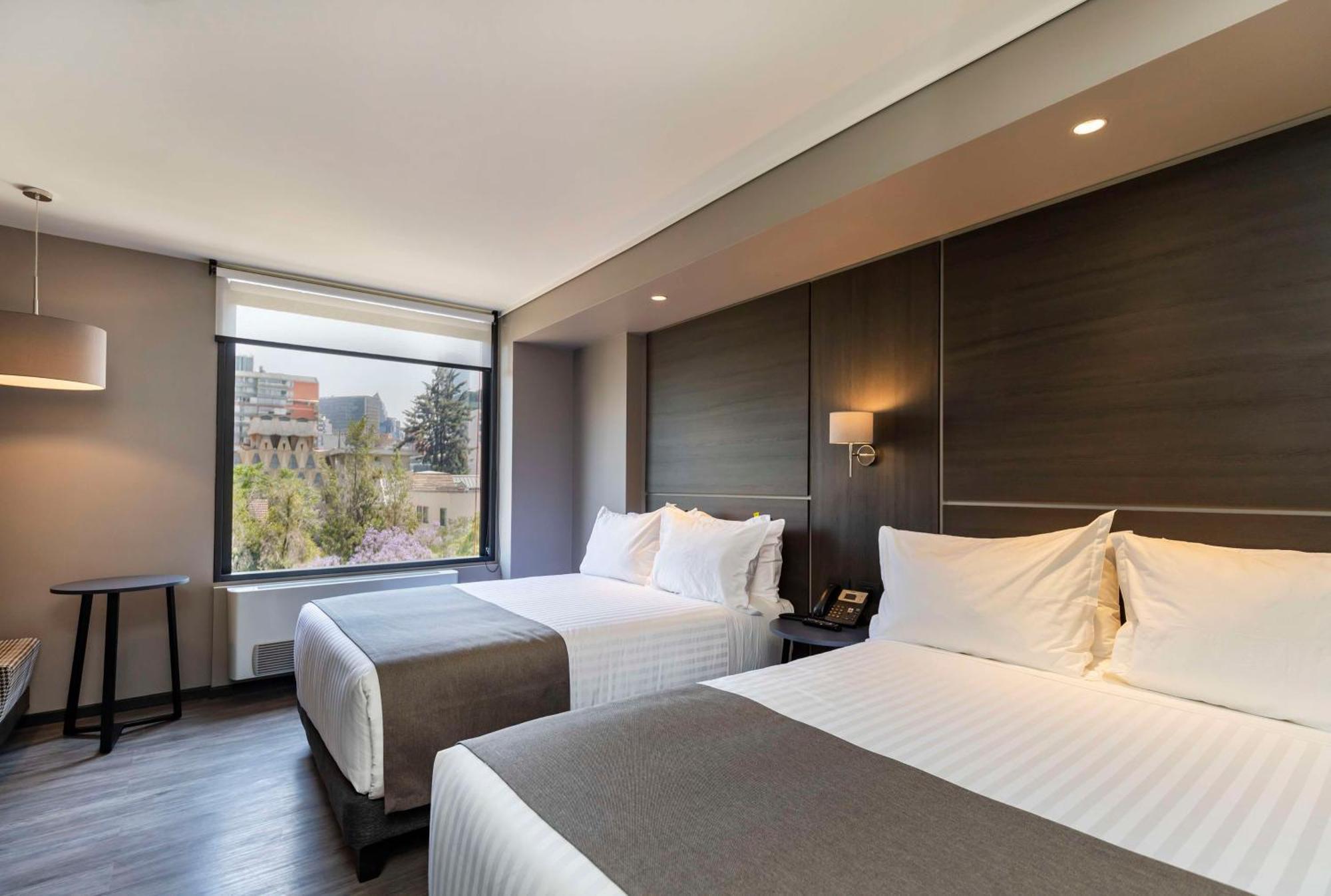 Ola Providencia, Tapestry Collection By Hilton