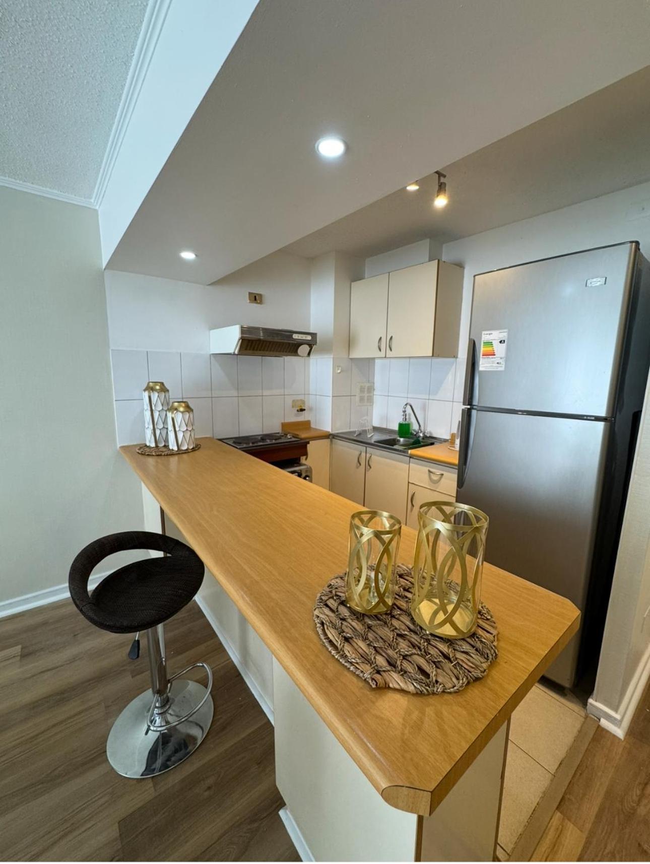 Apartment Amplio-pasos Metro Free Parking-santiago Centro Santiago
