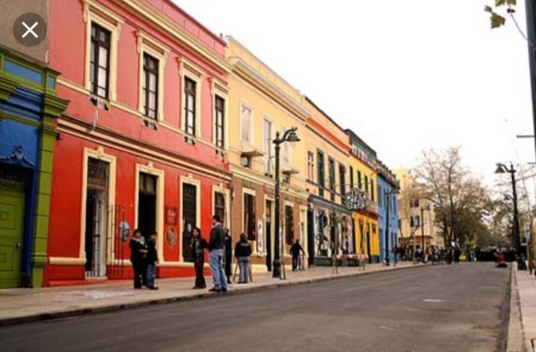 Central, Bellavista, And Bellas Artes Apartment Santiago