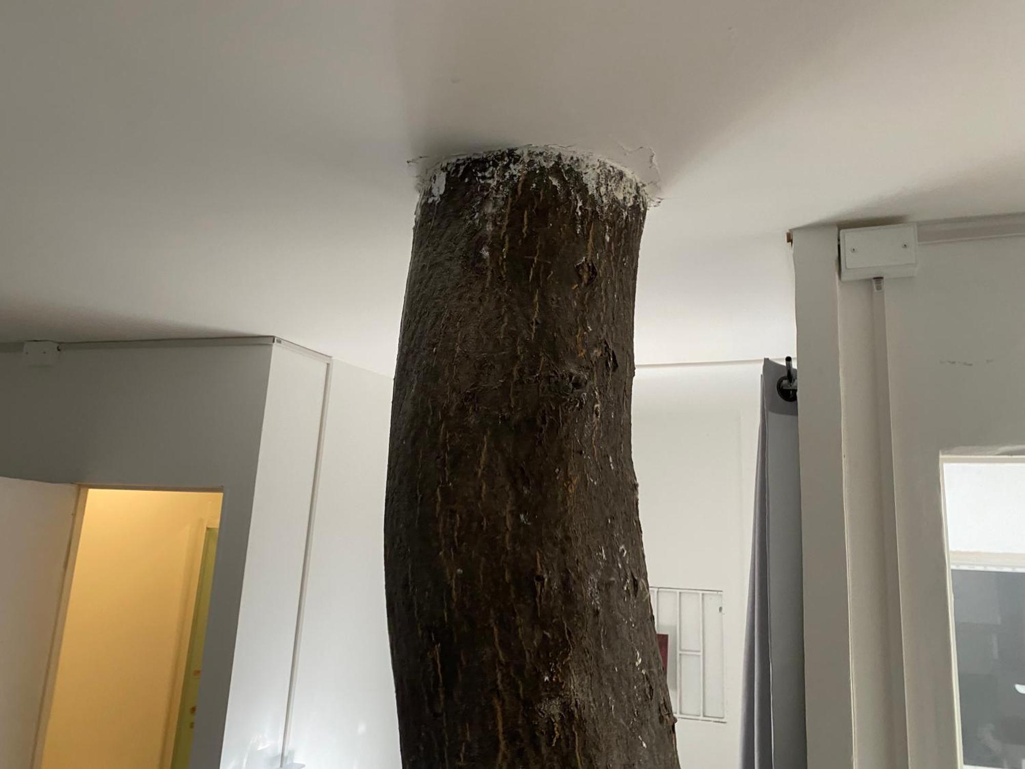Estudio 6 Apartment *