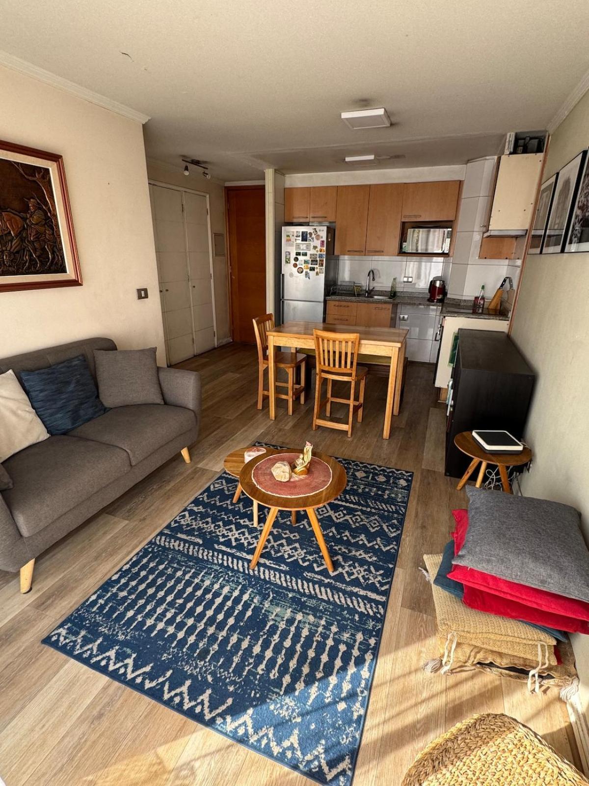 Apartment Acogedor, Luminoso E Insuperable Ubicacion Santiago