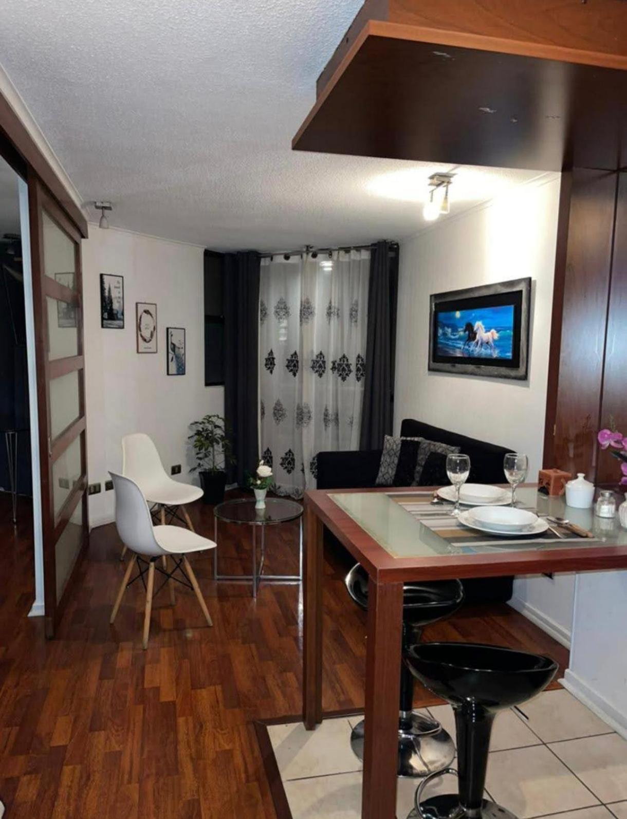 Centrico Hermoso Departamento Apartamento Santiago de Chile