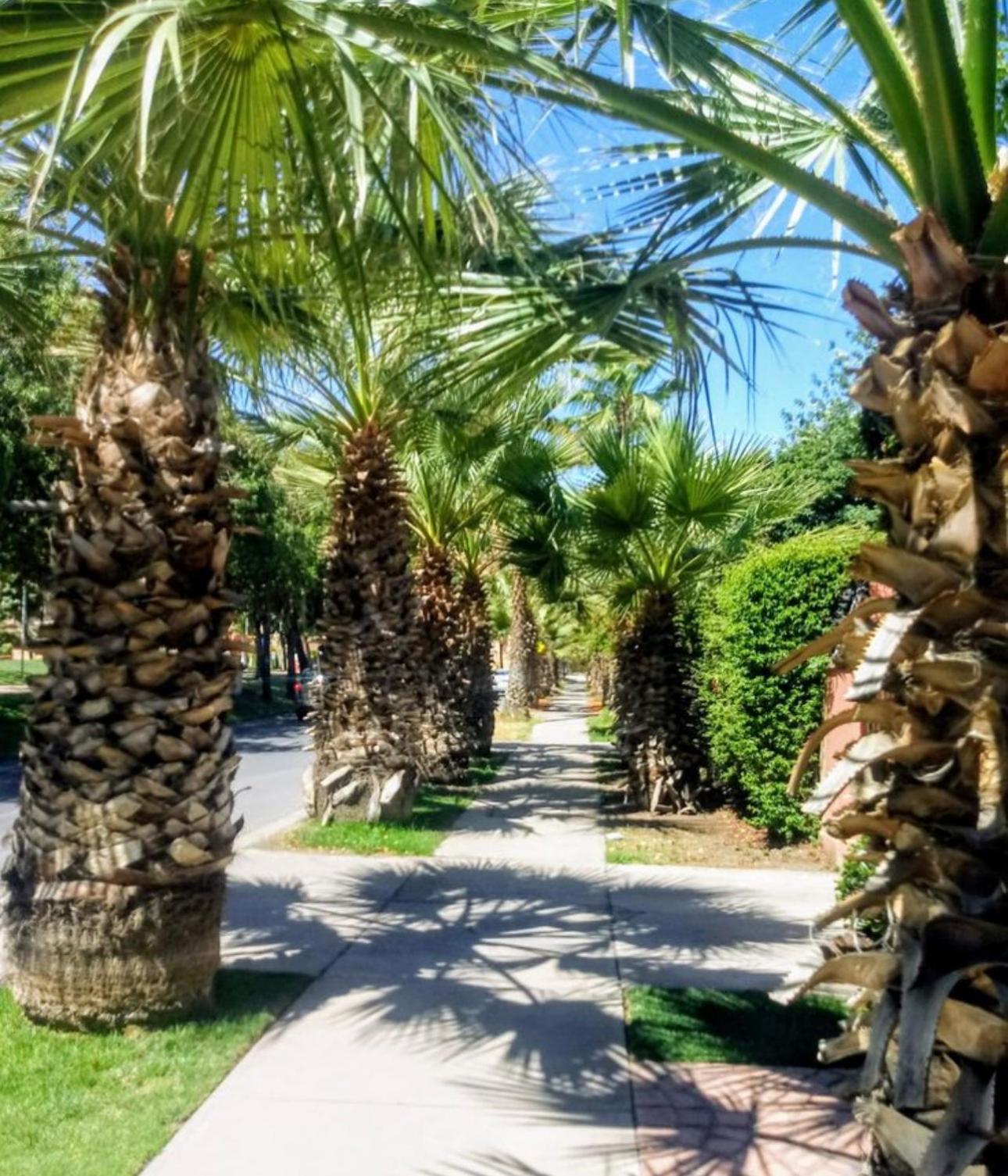 Casa Fuerteventura Homestay *