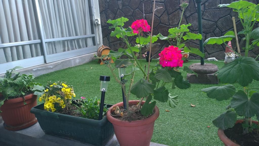 Acomodação com café da manhã  Bed & Breakfast Blumen Haus 2*