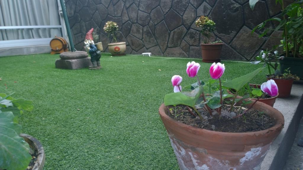 Acomodação com café da manhã  Bed & Breakfast Blumen Haus Santiago