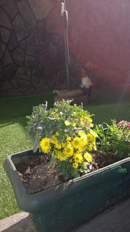 Acomodação com café da manhã  Bed & Breakfast Blumen Haus Santiago